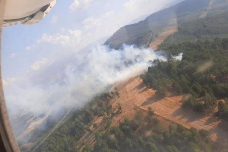 Aydın'daki orman yangınlarından güzel haber!