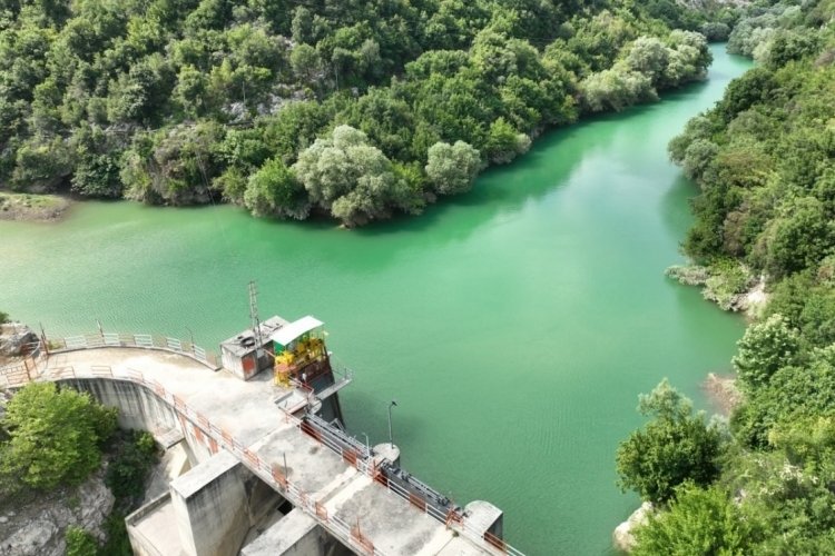 Osmaniye'de savrun &ccedil;ayı misafirlerini ağırlıyor:19 Bin 800 Sazan balığı yavrusu bırakıldı:
