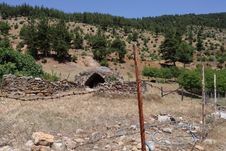 Adana'da suyu &ccedil;ekilen kuyu hayvanların telef olmasına sebep oluyor