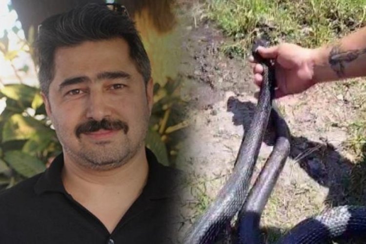 'Yılancı Kemal' yine iş başında!