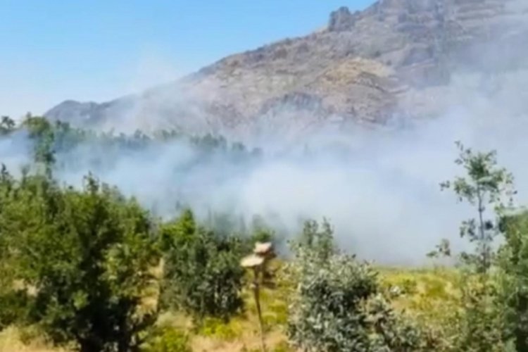 Şırnak'ta yangın paniği!