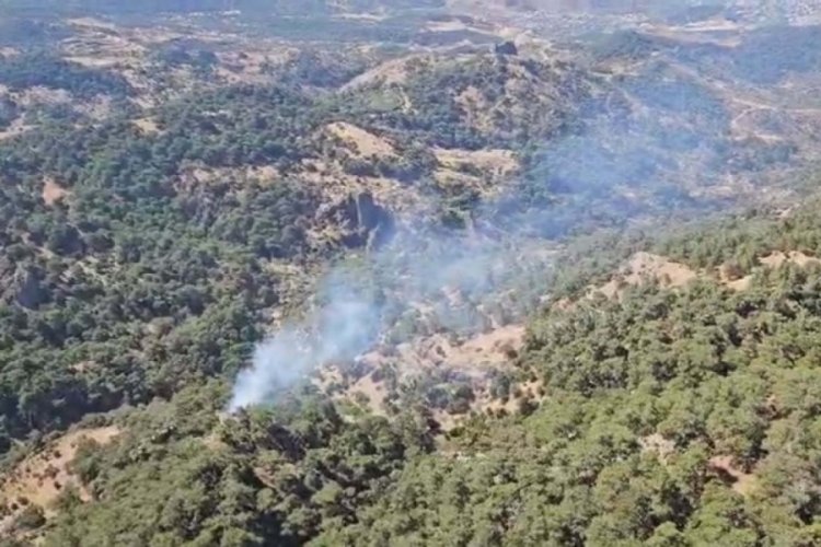 İzmir'de orman yangını: Kontrol altına alındı