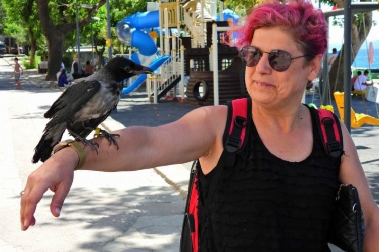 Erdek'e kargasıyla gelen tatilci ilgi odağı oldu