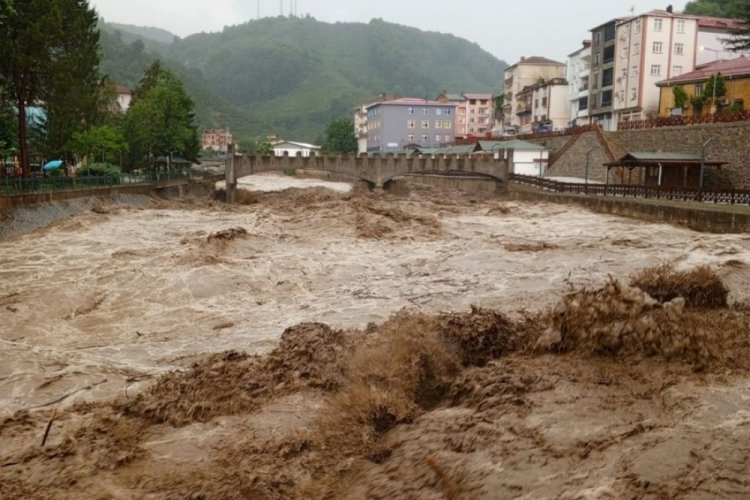 Ordu ve Muş'ta sel felaketi: 2 kişi hayatını kaybetti