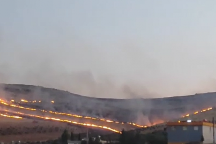 G&ouml;beklitepe yakınlarında korkutan yangın