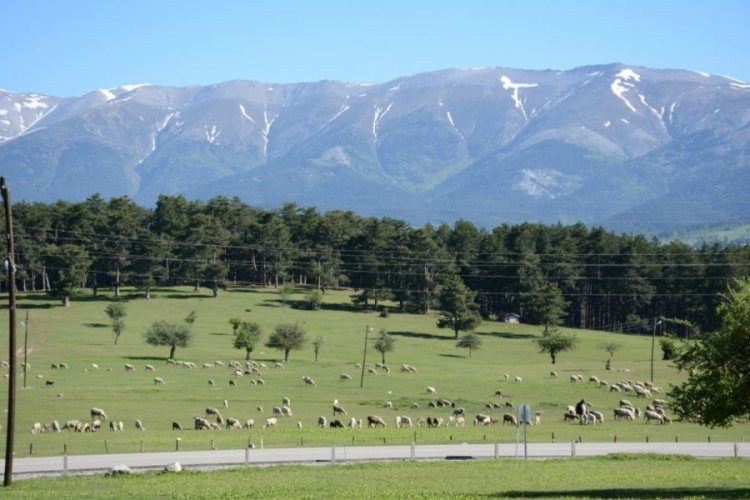 "B&uuml;y&uuml;k Erzurum Yayla Şenliği"ne Bursalı vatandaşlar yoğun ilgi g&ouml;sterdi