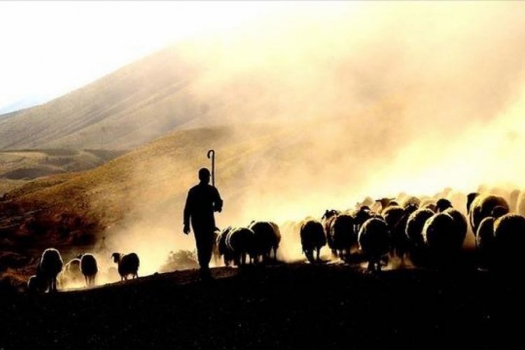 Afgan &ccedil;oban polemiği alevlendi! Bakanlıktan a&ccedil;ıklama geldi