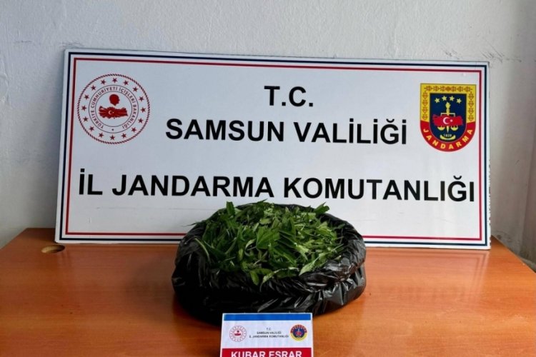 Samsun'da 5,5 kilo kubar esrar ele ge&ccedil;irildi