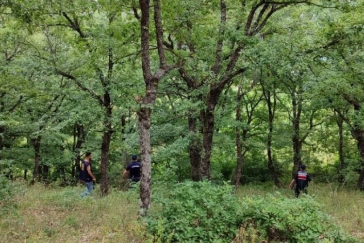 Kayıp şahıs ormanlık alanda sağ olarak bulundu