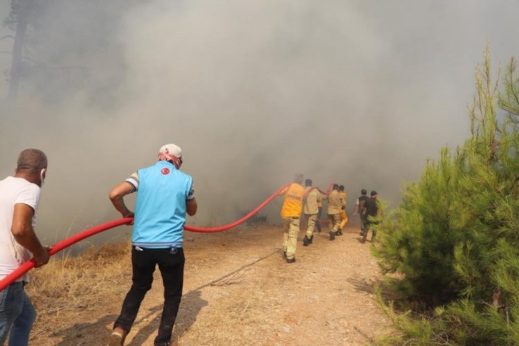 Bodrum'da orman yangını saatler sonra kontrol altına alındı