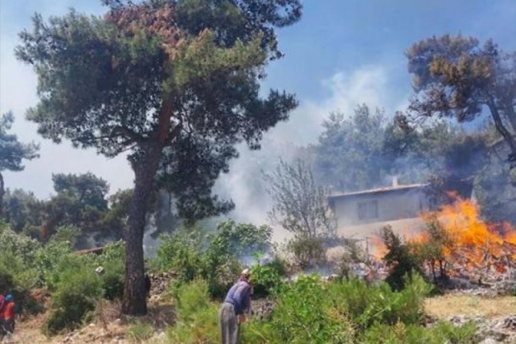 Balıkesir'de orman yangını!
