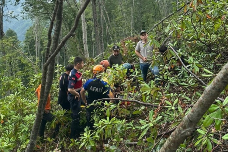 Ağa&ccedil;lara damgalama yaparken 200 metreden u&ccedil;uruma yuvarlandı