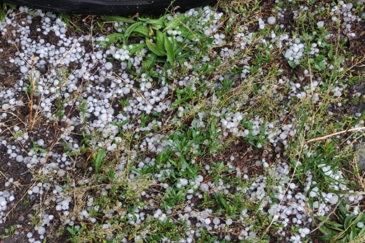 Ardahan'da sağanak ve dolu yağışı tarım arazilerini vurdu!