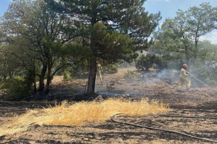 K&uuml;tahya'da demir yolu hattında anız yangını