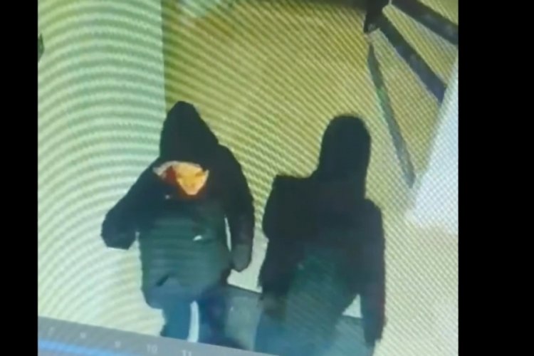 Bursa'da hamile hırsızın su&ccedil; dosyası kabarık &ccedil;ıktı