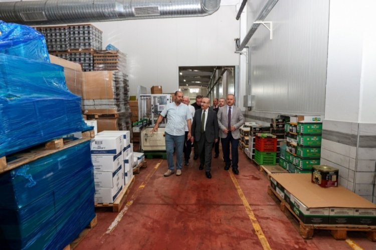 Bursa Valisi Demirtaş zeytin işleme tesislerini ziyaret etti