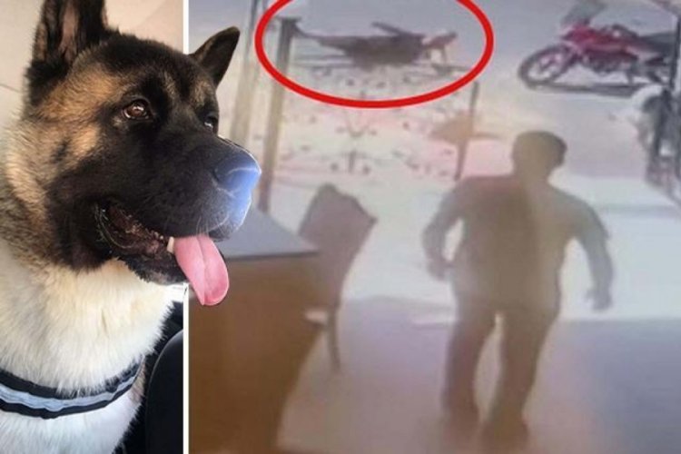 İzmir'de 'Haki'yi tekmeyle &ouml;ld&uuml;ren caniye &ouml;d&uuml;l gibi ceza!