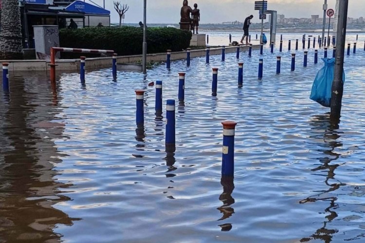 Bu bir felaket olur: Depremde şehir denizin altında kalacak