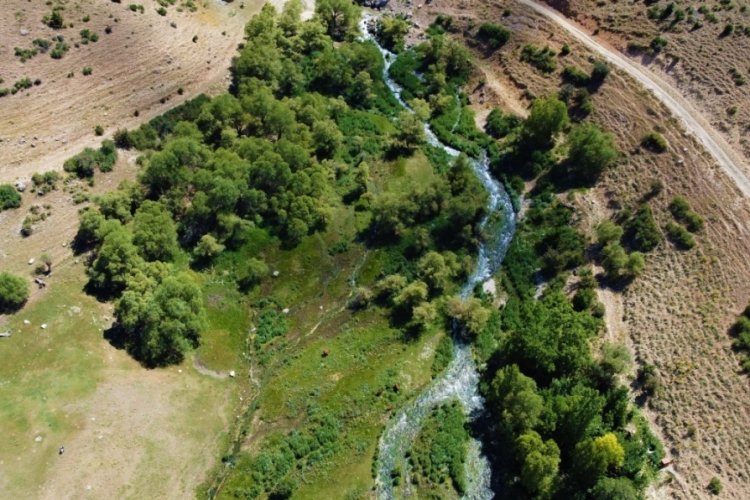 Erzincan'da doğaseverlerin uğrak yeri! Girlevik Şelalesi'