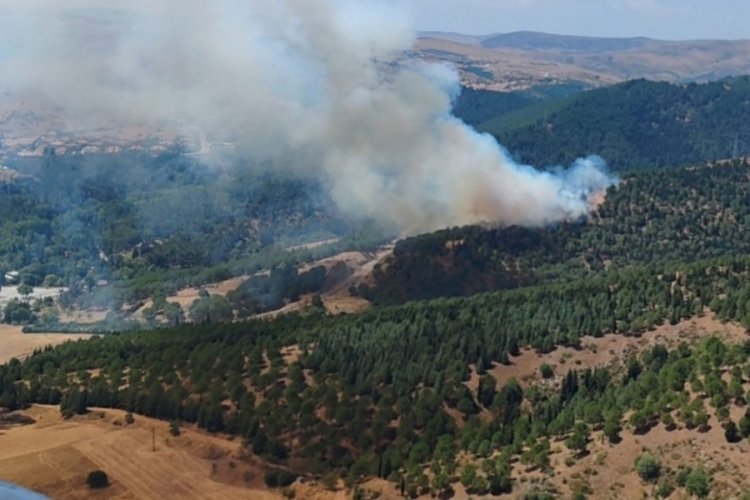 Balıkesir'de ormanlık alanda yangın
