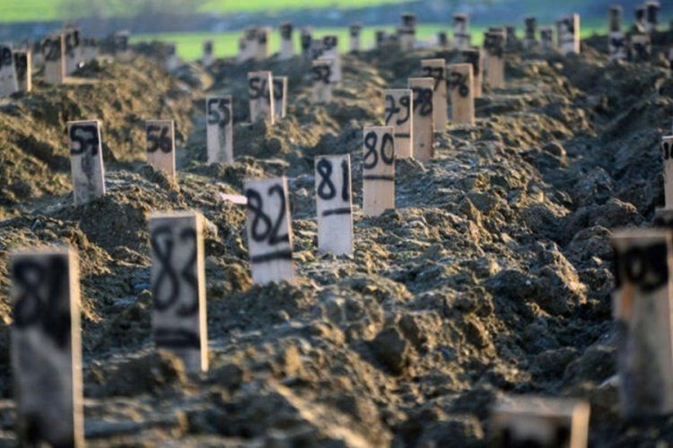 13&nbsp;Temmuz'da kimler &ouml;ld&uuml;? 13&nbsp;Temmuz'da &ouml;len isim kim? 13&nbsp;Temmuz'da hangi isim &ouml;ld&uuml;?