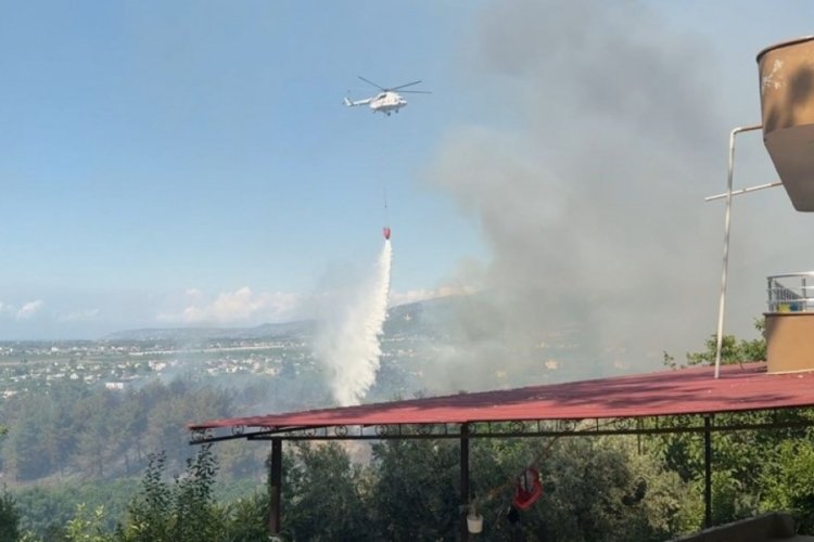 Hatay ve Balıkesir'de orman yangını