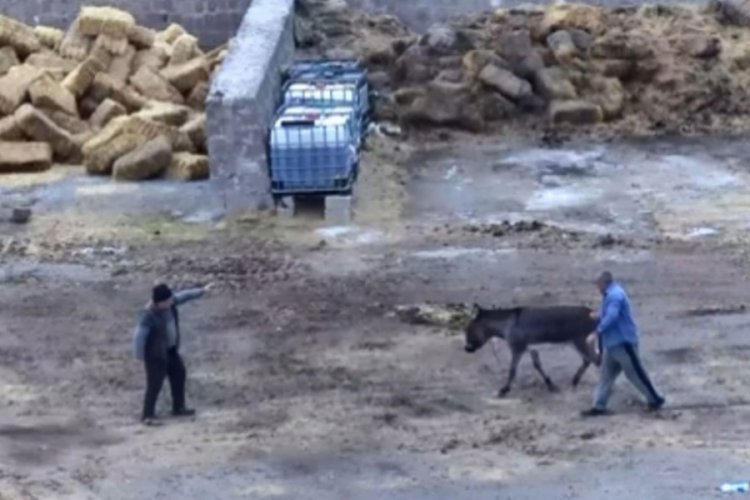 Kayseri'de eşeği bı&ccedil;akla &ouml;ld&uuml;r&uuml;p atları zehirleyen iki cani g&ouml;zaltında