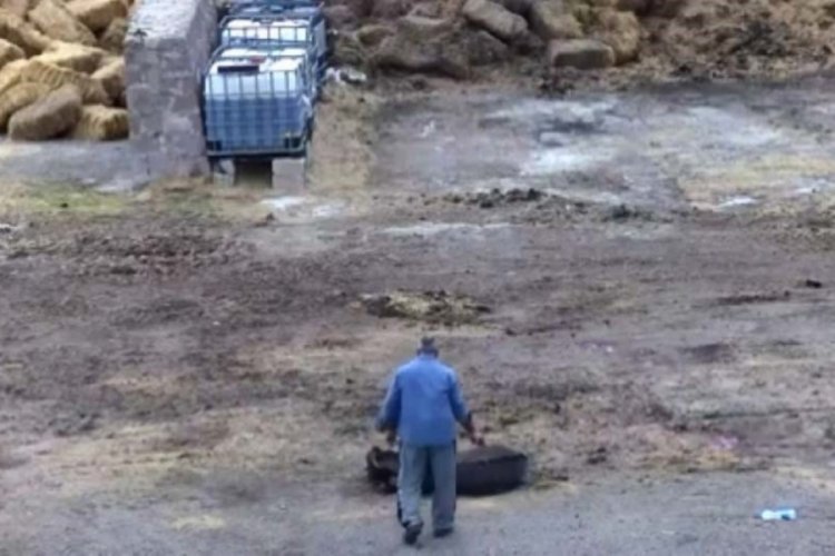 &Ccedil;iftliği basıp, eşeği bı&ccedil;aklayarak, atları zehirleyerek &ouml;ld&uuml;rd&uuml;ler