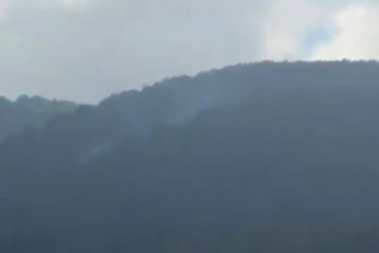 Bursa'da ormanlık alanda dumanlar y&uuml;kseldi!