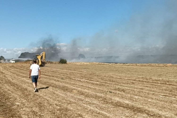 Tekirdağ'da anız yangını &ccedil;ıktı