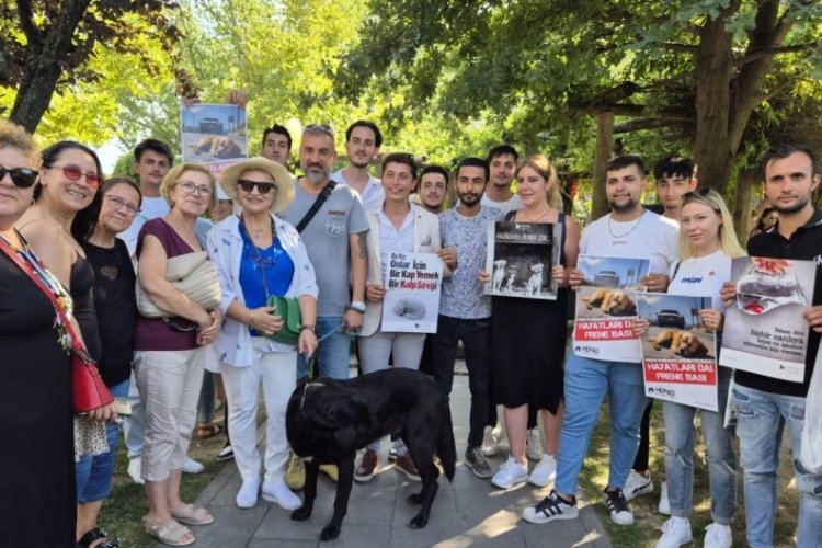 Bursalılardan yetkililere sokak hayvanlarına y&ouml;nelik yasayı geri &ccedil;ekmeye &ccedil;ağrısı