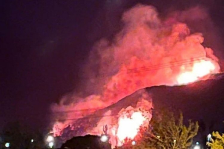 İzmir ve Antalya'da orman yangını