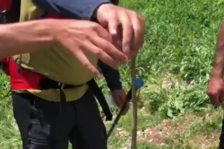 Erzincan'da sıcakların artmasıyla arazide yılanlar &ccedil;oğalmaya başladı