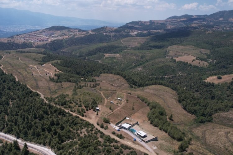 Bursa'da y&uuml;zlerce &ccedil;am ağacı kesildi, k&ouml;yl&uuml;ler yaptıkları eylemde g&ouml;zyaşlarını tutamadı