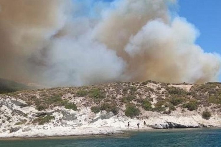 İzmir'de ormanlık alanda yangın!