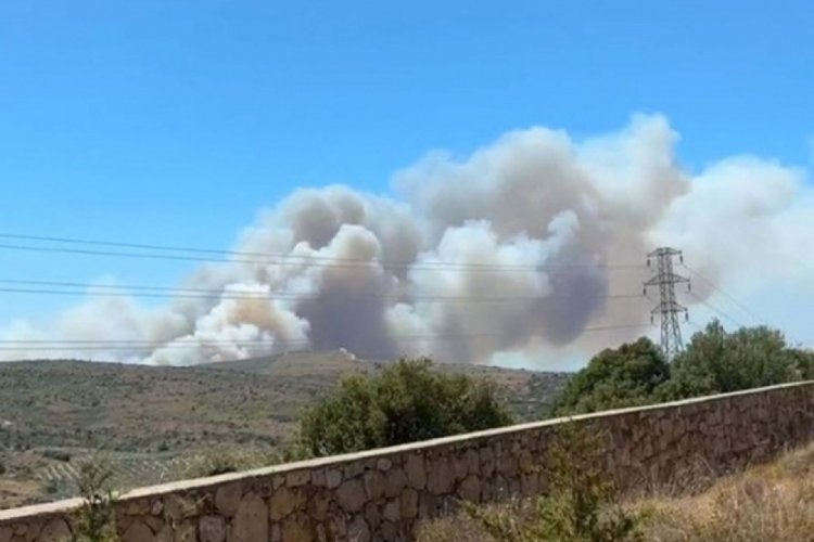 3 ilde orman yangını! İzmir'de &ccedil;ıkan yangında 3 kişi &ouml;ld&uuml;