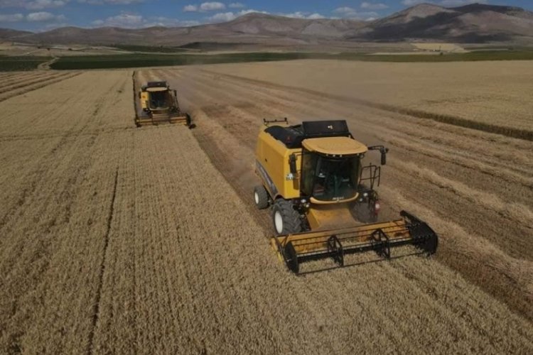 Kayseri'de hububat hasat sezonu a&ccedil;ıldı