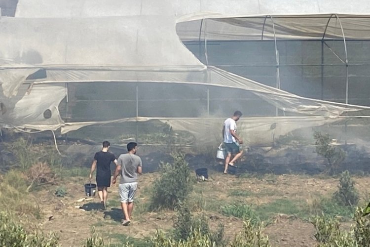 Antalya'da&nbsp;korkutan yangında seralar zarar g&ouml;rd&uuml;