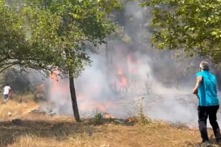 İstanbul'da orman yangını: Havadan ve karadan m&uuml;dahale ediliyor