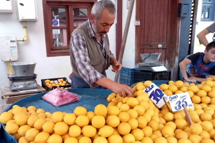 Pazarda limon fiyatları cep yakıyor