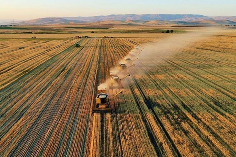Tarım &uuml;reticileri fiyatları yavaşlamaya devam etti