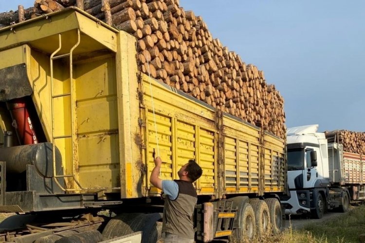 K&uuml;tahya'da titizlikle  orman emvali kontrolleri ger&ccedil;ekleştirildi