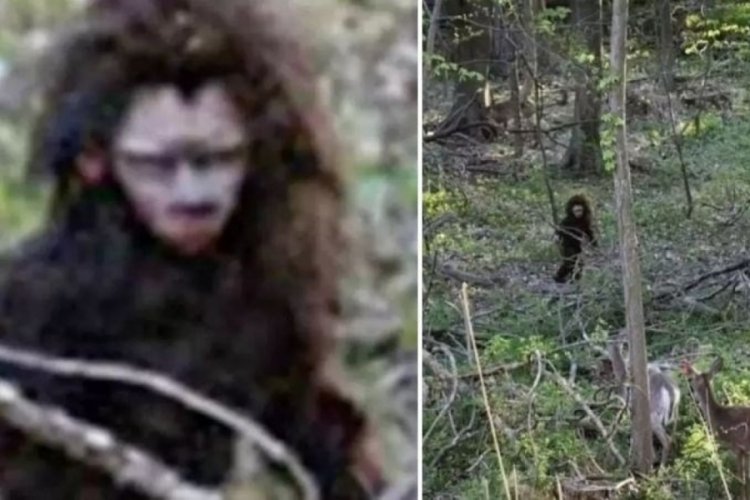 Ormanda g&ouml;r&uuml;ld&uuml;: G&ouml;renler şaşkına d&ouml;nd&uuml;!