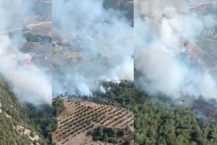Hatay'da orman yangını: Ekipler sevk edildi