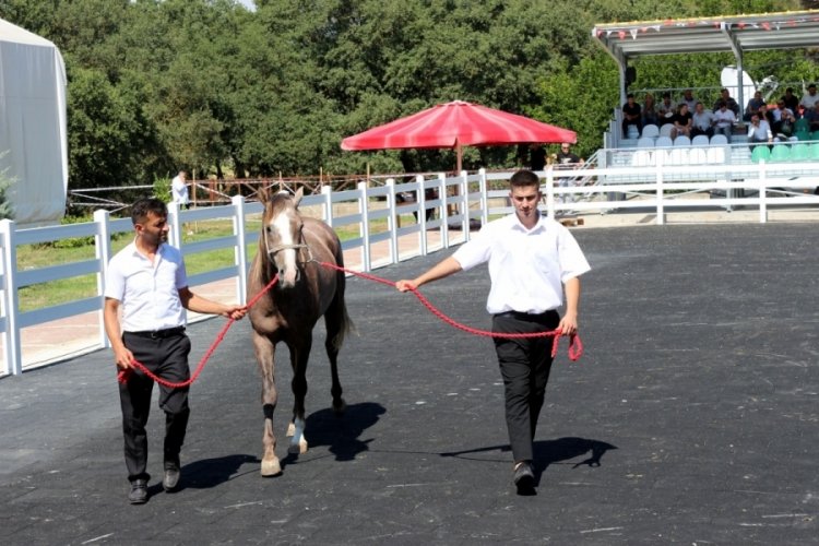Bursa'da ev fiyatına tay! 25 milyon 780 bin lira gelir