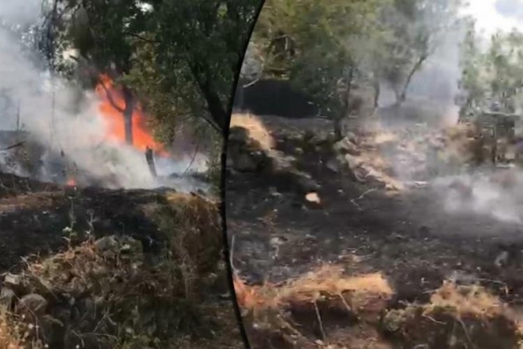 Elazığ'da anız yangınında 100 d&ouml;n&uuml;m arazi k&uuml;le d&ouml;nd&uuml;