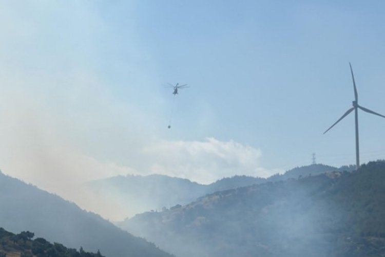 İzmir ve Hatay'da orman yangını!