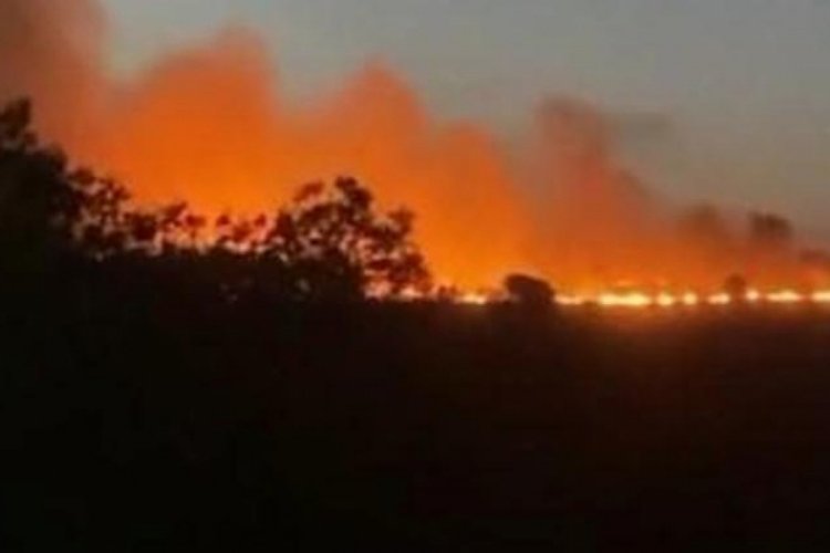 Tekirdağ'da tır ve anız yangını: 300 d&ouml;n&uuml;m alan yandı