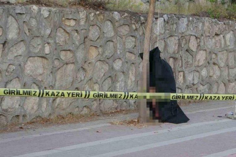 Malatya'da iple ağaca asılı halde &ouml;l&uuml; bulundu