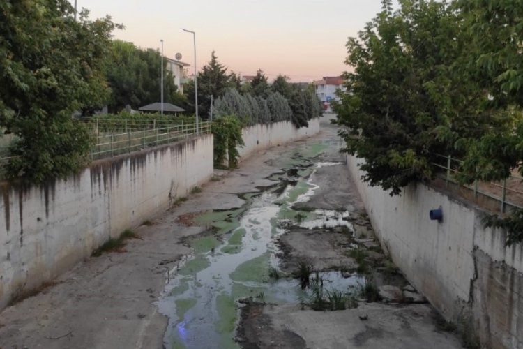 Tekirdağ'da değirmenaltı deresinde alarm &ccedil;alıyor!